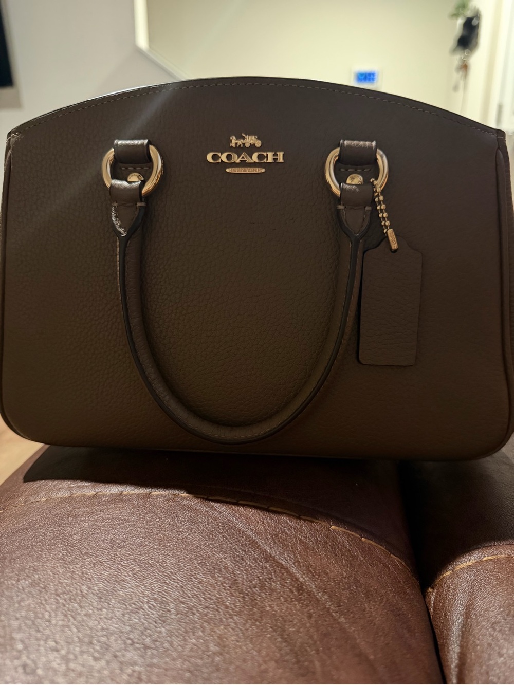 Coach Savannah Small Carryall Bag
